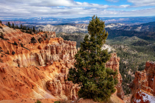 18-Mile Scenic Drive Ponderosa Point Overlook at Bryce Canyon National Park #vezzaniphotography