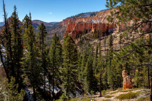 18-Mile Scenic Drive Swamp Canyon Overlook at Bryce Canyon National Park #vezzaniphotography