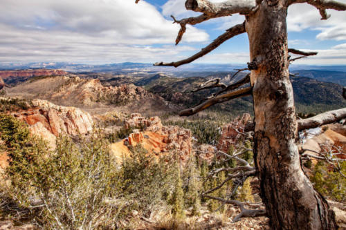 18-Mile Scenic Drive Piracy Point Overlook at Bryce Canyon National Park #vezzaniphotography