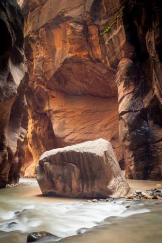 Hiking the Narrows, The Temple of Sinawava, Zion National Park #vezzaniphotography