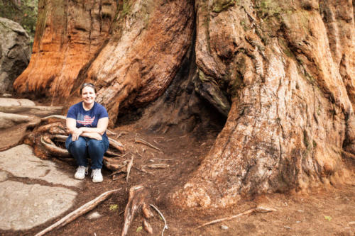 Sequoia National Park, CA #vezzaniphotography