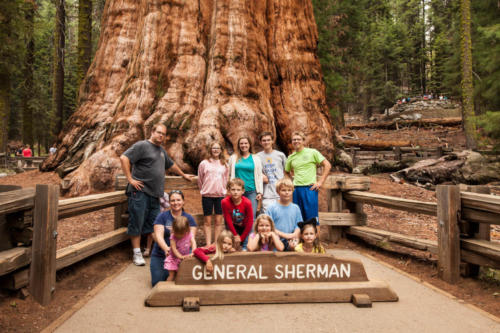 Sequoia National Park, CA #vezzaniphotography